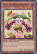 Prediction Princess Coinorma (OP02-EN020) [OTS Tournament Pack 2]