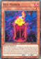 Red Mirror (TDIL-EN016) [The Dark Illusion]