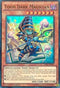 Toon Dark Magician (TDIL-EN032) [The Dark Illusion]
