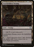Leechridden Swamp (65) [Duel Decks: Nissa vs. Ob Nixilis]