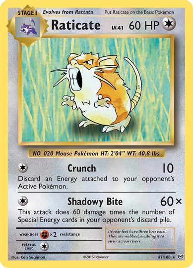 Raticate (67/108) [XY: Evolutions]