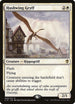 Hushwing Gryff (68) [Commander 2016]