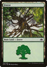 Forest (155) [Planechase Anthology]