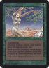 Shanodin Dryads [Alpha Edition]