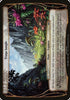 Truga Jungle (Planechase Anthology) [Oversize Cards]