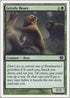 Grizzly Bears [9th Edition]