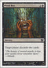 Mind Rot [9th Edition]