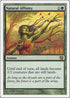Natural Affinity [9th Edition]