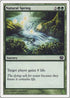 Natural Spring [9th Edition]
