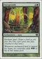 Overgrowth [9th Edition]