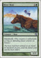 River Bear [9th Edition]
