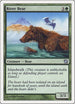 River Bear [9th Edition]
