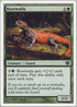 Rootwalla [9th Edition]