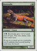 Rootwalla [9th Edition]