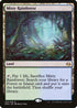 Misty Rainforest (240) [Modern Masters 2017]