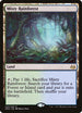 Misty Rainforest (240) [Modern Masters 2017]