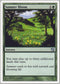 Summer Bloom (273) [9th Edition]