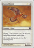 Suntail Hawk (49) [9th Edition]