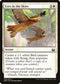 Eyes in the Skies (5) [Modern Masters 2017]