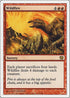 Wildfire (228) [9th Edition]