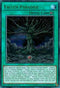 Fallen Paradise (DUSA-EN031) [Duelist Saga]