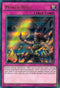 Power Wall (DUSA-EN033) [Duelist Saga]