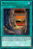 Necrovalley (DUSA-EN050) [Duelist Saga]