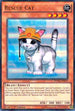 Rescue Cat (DUSA-EN072) [Duelist Saga]