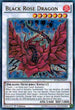 Black Rose Dragon (DUSA-EN077) [Duelist Saga]