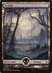 Swamp - Full Art (252) [Amonkhet]