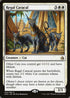 Regal Caracal (24) [Amonkhet]