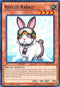 Rescue Rabbit (SR04-EN020) [Structure Deck: Dinosmasher's Fury]