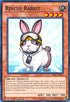Rescue Rabbit (SR04-EN020) [Structure Deck: Dinosmasher's Fury]