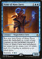 Vizier of Many Faces (74) [Amonkhet]