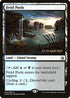 Fetid Pools (243) [Prerelease Cards]
