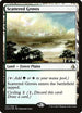 Scattered Groves (247) [Prerelease Cards]