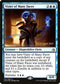 Vizier of Many Faces (74) [Prerelease Cards]