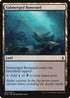 Submerged Boneyard (284) [Amonkhet]
