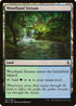 Woodland Stream (287) [Amonkhet]