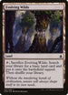 Evolving Wilds (247) [Commander Anthology]