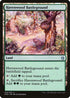 Havenwood Battleground (256) [Commander Anthology]