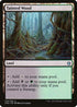 Tainted Wood (276) [Commander Anthology]