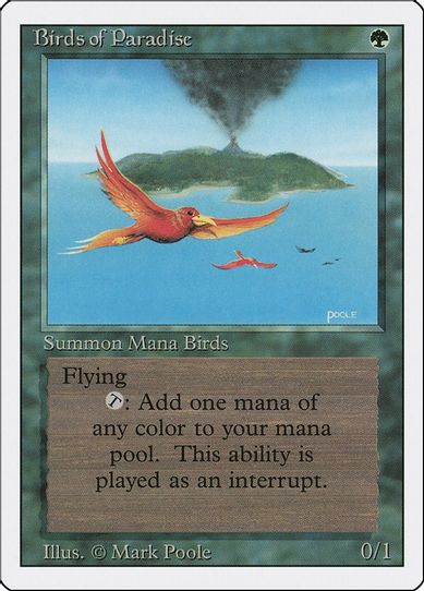 Birds of Paradise [Revised Edition]