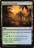 Woodland Stream (204) [Hour of Devastation]
