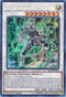 PSY-Framelord Omega (BLLR-EN061) [Battles of Legend: Light's Revenge]