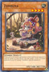 Zombina (COTD-EN033) [Code of the Duelist]