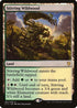 Stirring Wildwood (281) [Commander 2017]