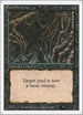 Evil Presence [Revised Edition]