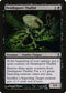 Deathspore Thallid (102) [Time Spiral]