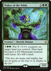 Waker of the Wilds (215) [Ixalan]